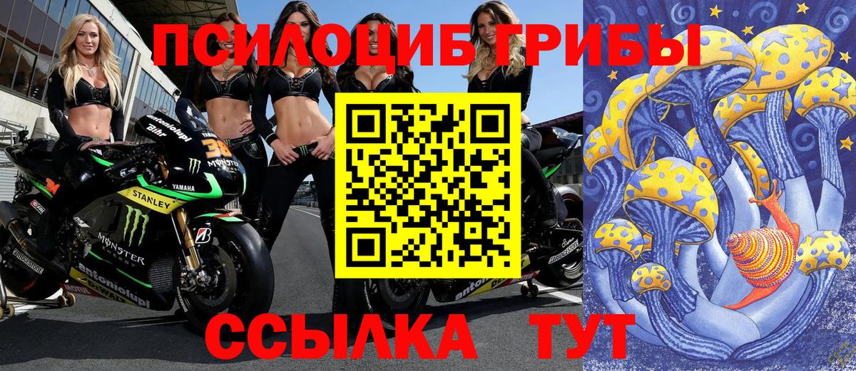 Галлюциногенные грибы Magic Shrooms  Вход с VPN  Вышний Волочёк  Псилоцибиновые грибы GOLDEN TEACHER 