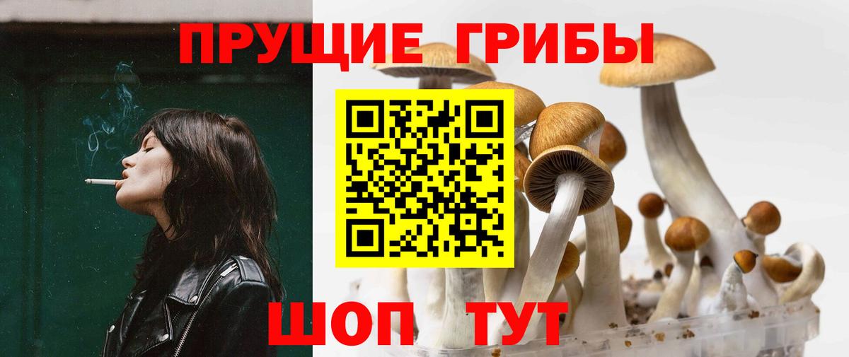 Галлюциногенные грибы Magic Shrooms Вышний Волочёк